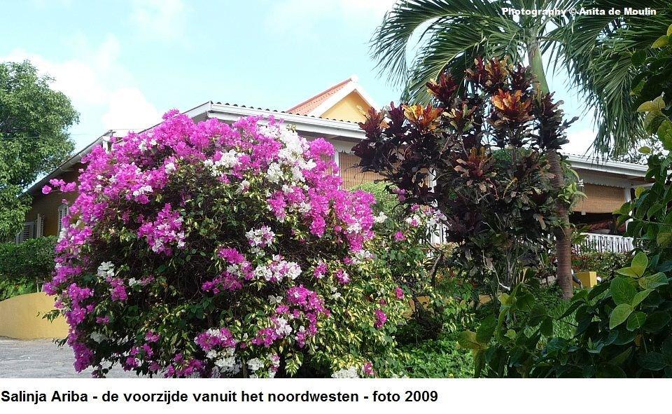 05. Salinja Ariba voorzijde op het noordwesten 2009